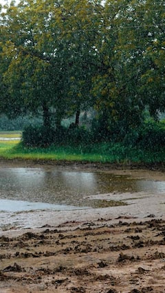 पावसाळ्यात शेतकऱ्यांनी काय काळजी घ्यावी? जाणून घ्या 'या' 9 गोष्टी