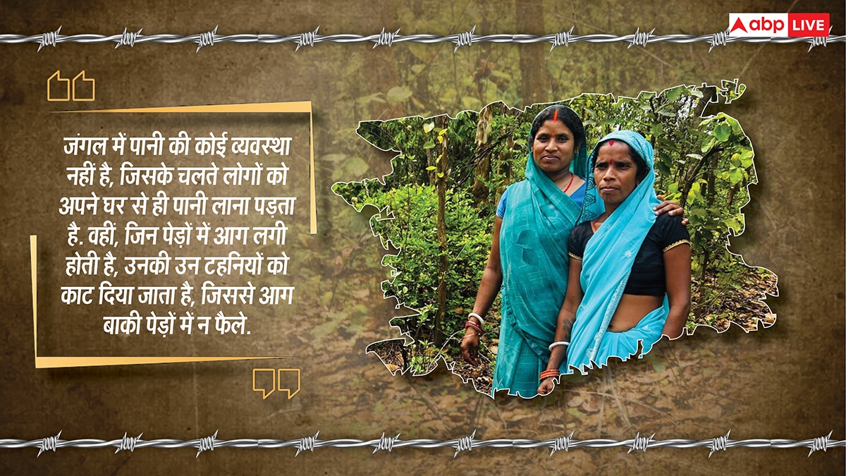 यहां पेड़ों को बच्चों की तरह पालती हैं महिलाएं, परिवार से पहले ख्याल रखकर बना डाला 2300 एकड़ का जंगल