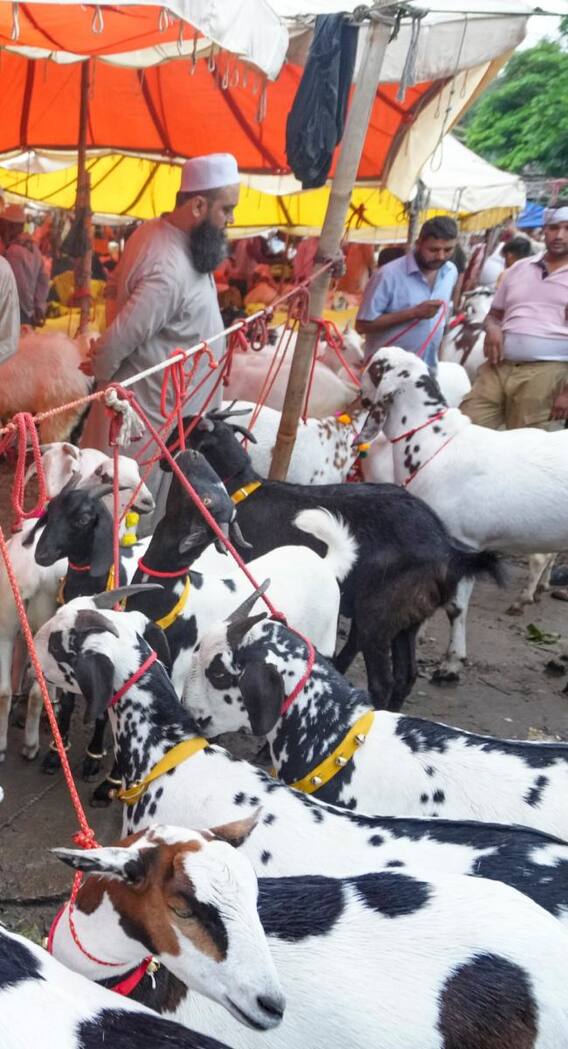 बकरीद का दूसरा नाम क्या है?