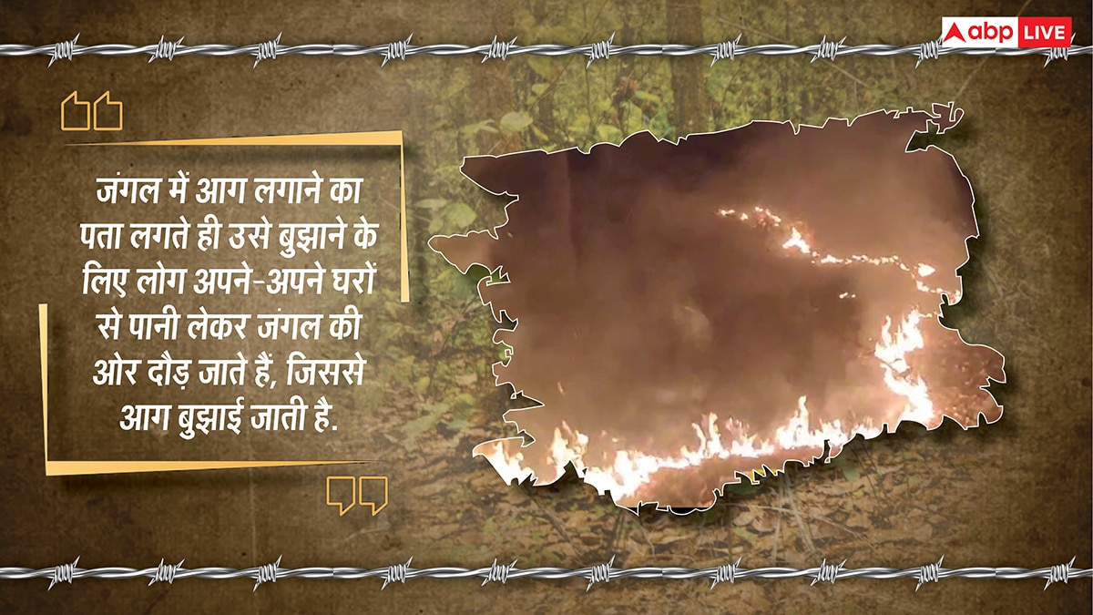 यहां पेड़ों को बच्चों की तरह पालती हैं महिलाएं, परिवार से पहले ख्याल रखकर बना डाला 2300 एकड़ का जंगल