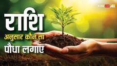 Astrology: राशि अनुसार पौधे लगाना होगा फायदे का सौदा, कुंडली में दूर होगी ग्रहों की अशुभता