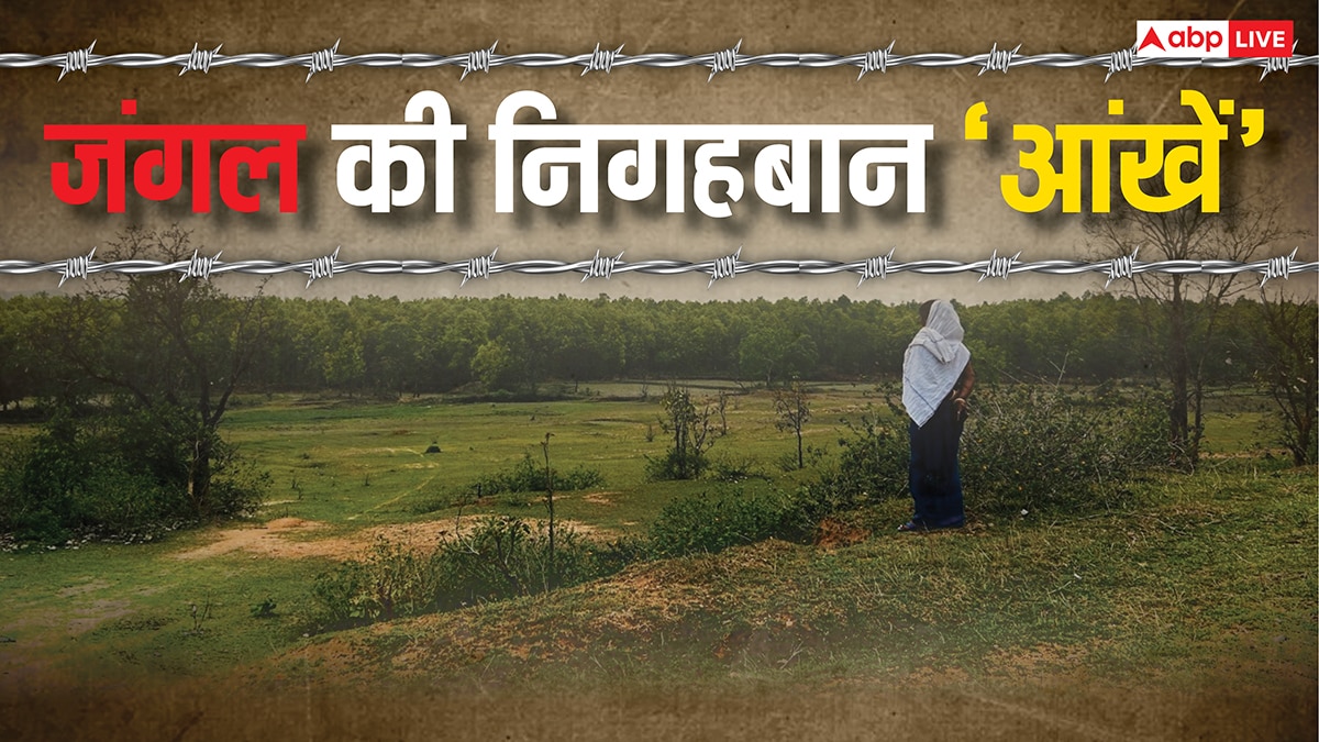 यहां पेड़ों को बच्चों की तरह पालती हैं महिलाएं, परिवार से पहले ख्याल रखकर बना डाला 2300 एकड़ का जंगल