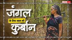 यहां पेड़ों को बच्चों की तरह पालती हैं महिलाएं, परिवार से पहले ख्याल रखकर बना डाला 2300 एकड़ का जंगल