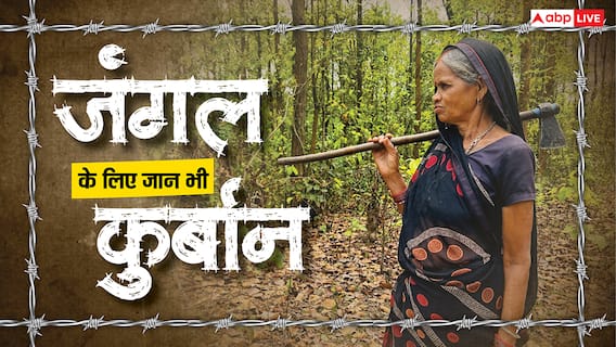 यहां पेड़ों को बच्चों की तरह पालती हैं महिलाएं, परिवार से पहले ख्याल रखकर बना डाला 2300 एकड़ का जंगल