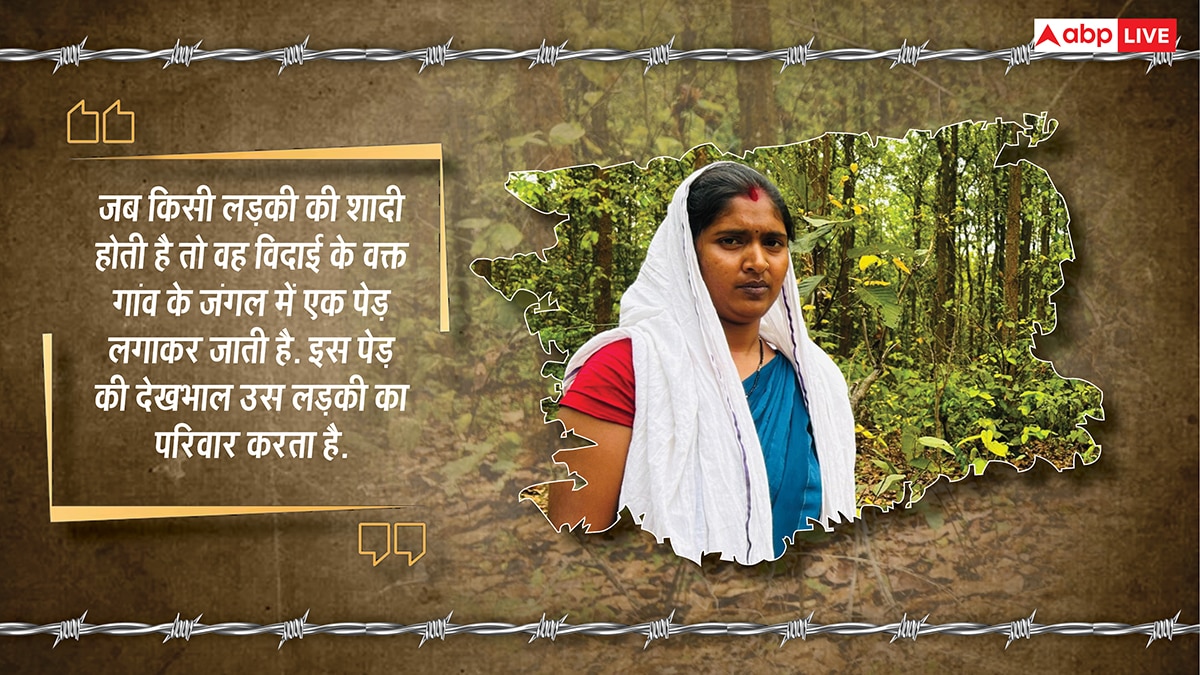 यहां पेड़ों को बच्चों की तरह पालती हैं महिलाएं, परिवार से पहले ख्याल रखकर बना डाला 2300 एकड़ का जंगल