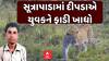Gir Somnath Leopard Attack: સૂત્રાપાડામાં દીપડાએ યુવકને ફાડી ખાધો, જુઓ અહેવાલ