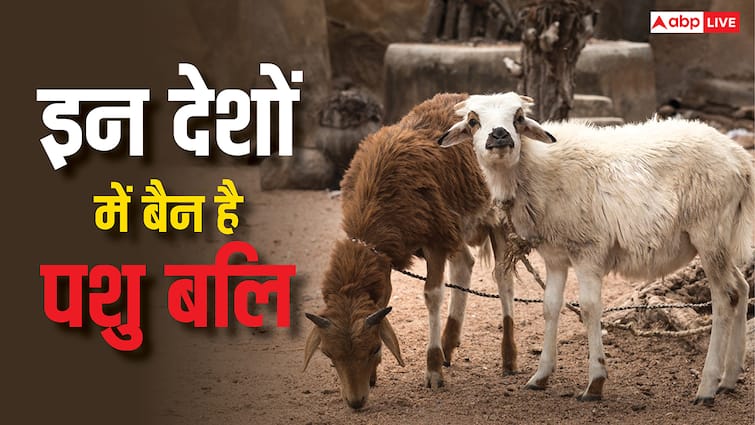 इस मुस्लिम देश ने बकरीद की कुर्बानी पर लगाया बैन, जानें इस पर किन देशों में है पूरी तरह पाबंदी bakrid 2025 Morocco king mohammed vi suspend eid al adha animal sacrifices In which countries animals sacrifice are completely banned इस मुस्लिम देश ने बकरीद की कुर्बानी पर लगाया बैन, जानें इस पर किन देशों में है पूरी तरह पाबंदी