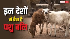 इस मुस्लिम देश ने बकरीद की कुर्बानी पर लगाया बैन, जानें इस पर किन देशों में है पूरी तरह पाबंदी