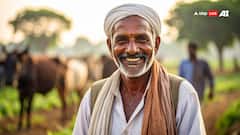 Organic Farming: Healthy Soil & Prosperous Farmers — How Organic Cultivation Is Transforming The Lives Of Food Growers