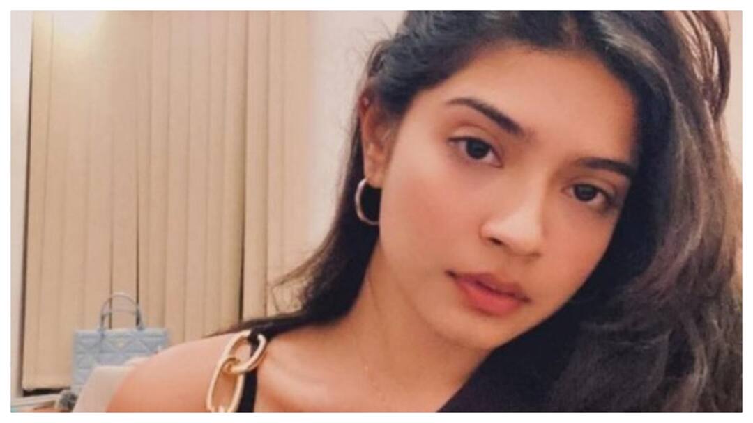 No Interim Bail For Sharmistha Panoli In Offensive Video Case, Calcutta HC Seeks Case Diary No Interim Bail For Sharmistha Panoli In Offensive Video Case, Calcutta HC Seeks Case Diary