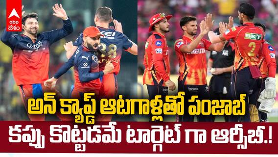 RCB vs PBKS IPL 2025 Final Teams Review | ఐపీఎల్ ఛాంపియన్ గా నిలవాలంటే వీళ్లు ఆడాల్సిందే