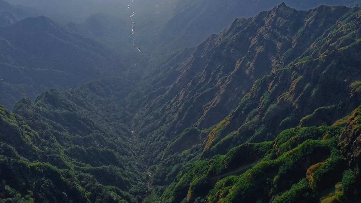 (Image Source: Twitter/@poojanikam20)