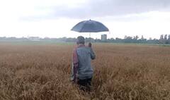 Rain: આજે અમદાવાદ સહિત 13 જિલ્લામાં વરસાદનું એલર્ટ, ઉત્તરથી લઇ દક્ષિણ સુધી જામશે વરસાદી માહોલ