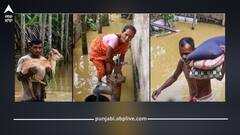 ਉੱਤਰ ਪੂਰਬ ਭਾਰਤ 'ਚ ਮੀਂਹ ਨਾਲ ਬਰਸੀ ਤਬਾਹੀ, 36 ਲੋਕਾਂ ਦੀ ਗਈ ਜਾਨ, ਲੱਖਾਂ ਲੋਕ ਬੇਘਰ