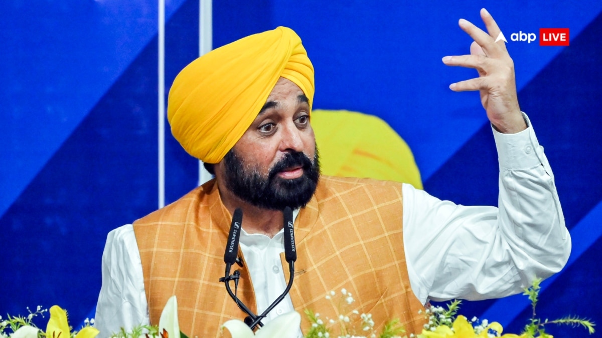 ‘क्या अब वन नेशन, वन हसबैंड की स्कीम है?’, BJP पर भड़के CM भगवंत मान