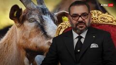 'हम नहीं देंगे बकरीद पर किसी भी जानवर की कुर्बानी', 99 परसेंट मुस्लिम आबादी वाले देश ने बकरीद पर लिया बड़ा फैसला, जानें वजह