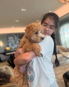 Karan Johar Introduces Adorable New Family Member, Shares Pics With Yash and Roohi