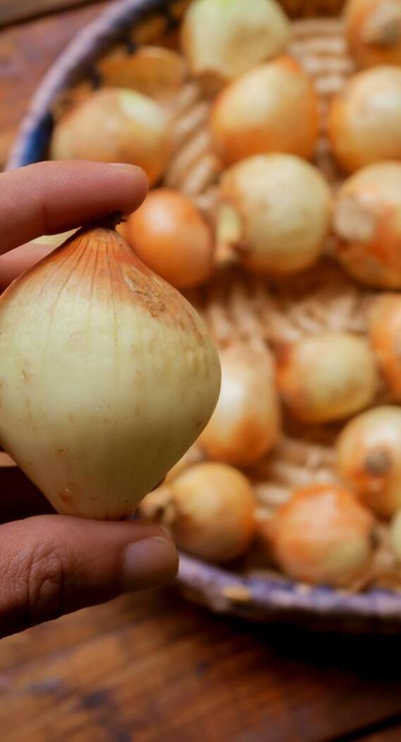 हाथों से प्याज की गंध हटाने के ये हैं घरेलू उपाय