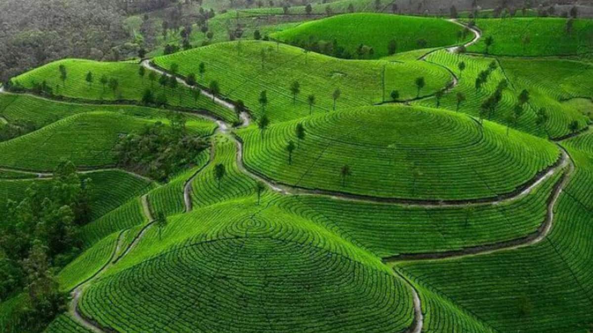 (Image Source: Twitter/@IndiaTales7)