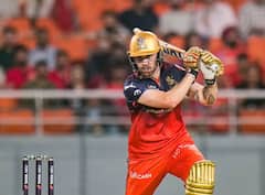 RCB VS PBKS Final: ਫਾਈਨਲ 'ਚ ਨਹੀਂ ਚੱਲਿਆ ਫਿਲ ਸਾਲਟ ਦਾ ਬੱਲਾ, ਓਪਨਿੰਗ 'ਚ ਹੀ ਹੋਏ ਆਊਟ, ਜਾਣੋ ਹੁਣ ਤੱਕ ਕਿਵੇਂ ਦਾ ਖੇਡੇ