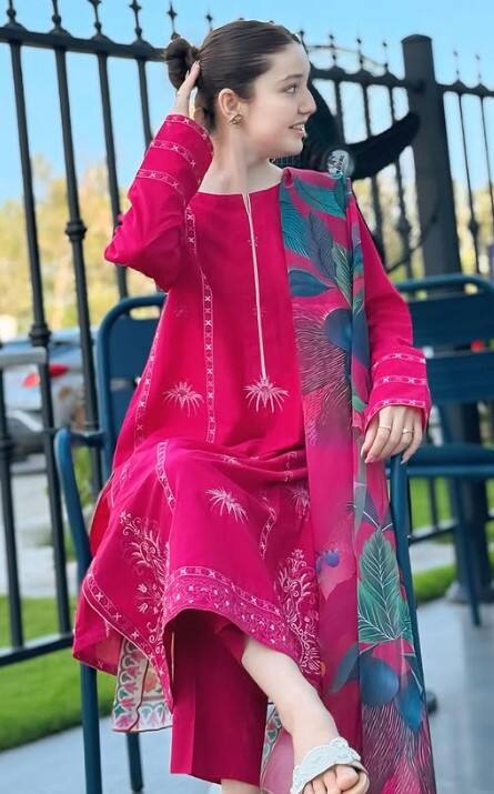 ਸੋਸ਼ਲ ਮੀਡੀਆ ਇੰਫਲੂਇੰਸਰ ਅਤੇ ਟਿੱਕ ਟਾਕ ਸਟਾਰ ਦਾ ਕਤਲ, ਘਰ 'ਚ ਮਾਰੀ ਗੋਲੀ...