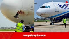 মাঝ আকাশে অতর্কিতে হানা, সোজা নাকে ধাক্কা মারল শকুন, নাক ভাঙল IndiGo-র বিমানের, জরুরি অবতরণ রাঁচিতে