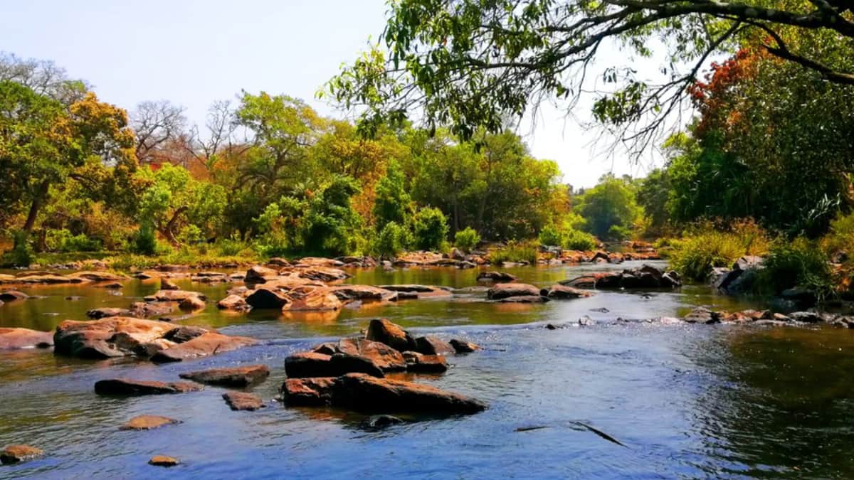 (Image Source: Twitter/@KeralaTourism)