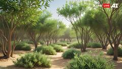 गुजरात: कच्छ में पाकिस्तान बॉर्डर के पास बनेगा 'सिंदूर वन' पार्क, जानें- क्या होगी खास बात?