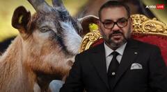 'ਅਸੀਂ ਨਹੀਂ ਦੇਵਾਂਗੇ ਬਕਰੀਦ 'ਤੇ ਕਿਸੇ ਵੀ ਜਾਨਵਰ ਦੀ ਕੁਰਬਾਨੀ', 99% ਮੁਸਲਿਮ ਆਬਾਦੀ ਵਾਲੇ ਦੇਸ਼ ਨੇ ਲਿਆ ਵੱਡਾ ਫੈਸਲਾ