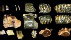 Indonesia News: समंदर की गहराई में छिपी थी 1.4 लाख पुरानी दुनिया! वैज्ञानिकों ने कर दिया चमत्कार, ढूंढ निकाली