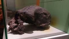 Indonesia News: समंदर की गहराई में छिपी थी 1.4 लाख पुरानी दुनिया! वैज्ञानिकों ने कर दिया चमत्कार, ढूंढ निकाली