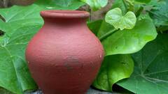 Earthen Clay Pots: মাটির কুঁজোয় কতদিন জল রাখা যায়? পরিষ্কারই বা করবেন কতদিন অন্তর? জেনে নিন খুঁটিনাটি