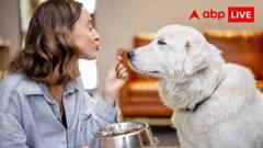 कुत्ते का खाना टेस्ट करने से लेकर बिस्तर पर सोने तक, ये हैं दुनिया की सबसे अजीबोगरीब जॉब्स