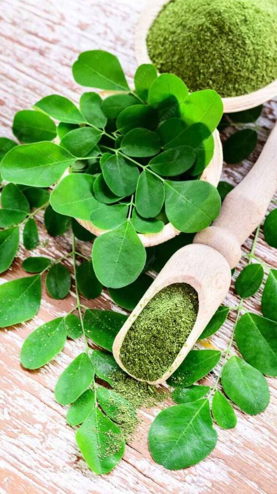 मोरिंगा पाउडर को लेने का सही तरीका क्या है?