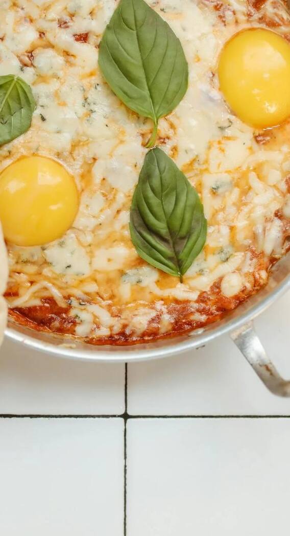 किस जीव के अंडों में होता है सबसे ज्यादा प्रोटीन?