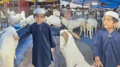 दिल्ली जामा मस्जिद के शाही इमाम के पोते का बकरीद पर बड़ा मैसेज, 'तुम्हारी कुर्बानी का खून अल्लाह...'