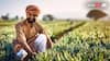 ਇਸ ਦਿਨ ਆਵੇਗੀ PM Kisan Yojana ਦੀ ਅਗਲੀ ਕਿਸ਼ਤ, ਜਾਣੋ ਕਿਵੇਂ ਚੈੱਕ ਕਰ ਸਕਦੇ ਸਟੇਟਸ?