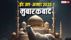 ईद उल-अजहा मुबारक: 2025 के लिए बेहतरीन Wishes, Quotes और Messages!