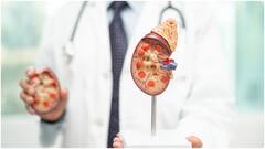 Kidney Health : కిడ్నీల ఆరోగ్యాన్ని కాపాడే ఫుడ్స్ ఇవే.. డీటాక్స్ చేయడంలో మంచి ఫలితాలుంటాయట