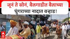 Buldhana Wedding: जूनं ते सोनं, कित्येक वर्षानंतर अवतारले बैलगाडीत बैलाच्या घुंगराच्या नादात वऱ्हाड