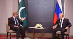 ऑपरेशन सिंदूरमुळे नाक कापलं गेलं, आता पाकिस्तानचा वेगळाच डाव, शाहबाज शरीफांनी पुतीन यांना धाडलं पत्र