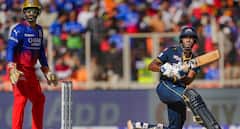 IPL 2025 Final: Top Run-Scorer & Leading Wicket-Taker Crowned