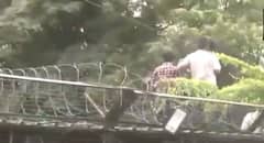 PHOTOS: चिन्नास्वामी स्टेडियम की दीवारों पर चढ़े फैंस, अचानक मच गई चीख-पुकार; RCB विक्ट्री परेड में पसर गया मातम!