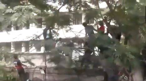 बेंगलुरू के चिन्नास्वामी स्टेडियम के पास भगदड़ मचने से कम से कम सात लोगों की मौत हो गई है और कई लोगों को अस्पताल में भर्ती कराया गया है.