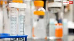 मच्छर भगाने वाली दवाई में क्या मिलाया जाता है? जानें ये सेहत के लिए कितना खतरनाक