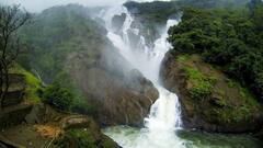 'Death Trap Wrapped In PR': Congress Slams Goa Govt's Ban Exemption For Waterfalls