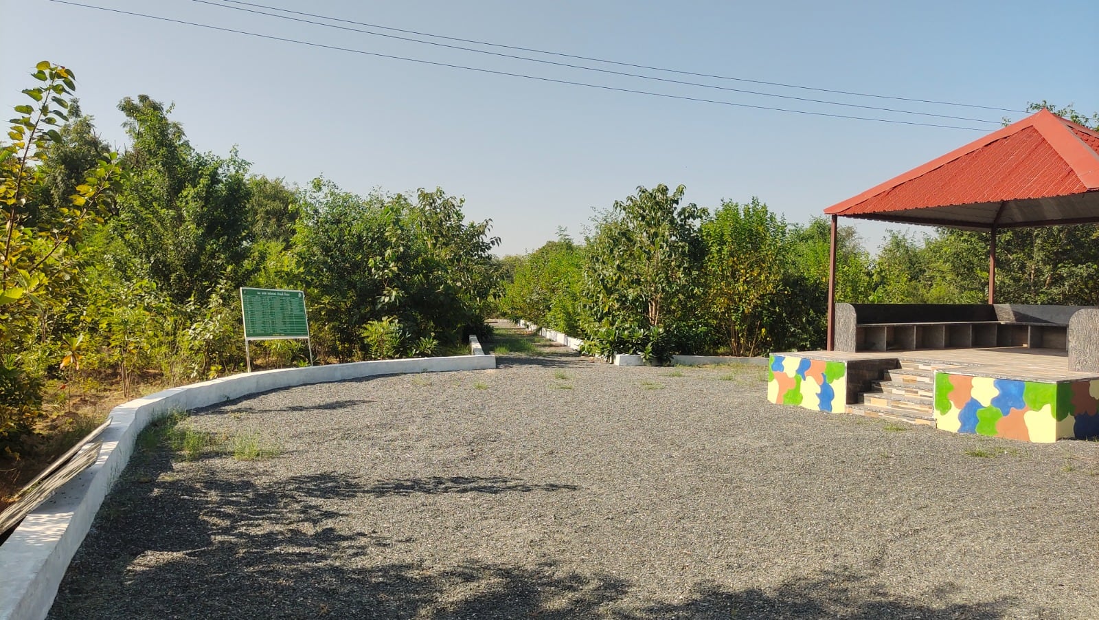 હવે હરિયાળું બનશે ગુજરાત, આ ખાસ જાપાની પદ્ધતિથી તૈયાર થશે ગાઢ જંગલ