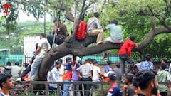 প্রিয় চ্যাম্পিয়ন দলকে দেখতে বৃষ্টি মাথায় হাজার হাজার ফ্যান, কেউ উঠলেন গাছের ডালে-কেউ স্টেডিয়ামের পাঁচিলে !