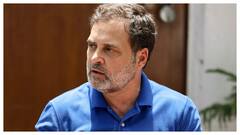 Freedom of Speech Doesn’t Include Defaming The Army, HC Tells Rahul Gandhi