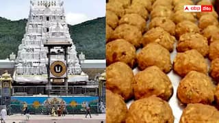 Tirumala ghee case: వైవీ సుబ్బారెడ్డి పీఏను ప్రశ్నిస్తున్న సీబీఐ సిట్ - కల్తీ నెయ్యి కేసులో సంచలనాలు ఉంటాయా ?